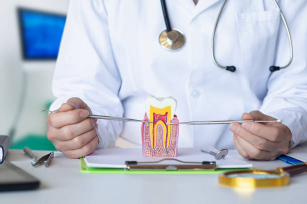 Best Root Canal Emergency Dentist  in Garfield, NJ